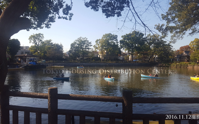 20161112_140156a.jpg